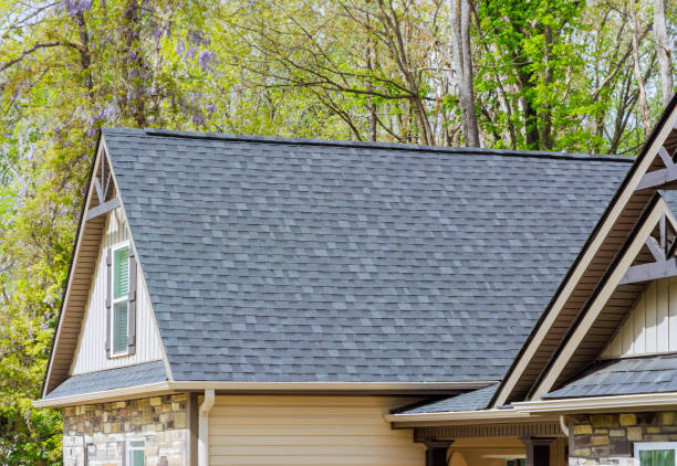 Best Skylight Installation and Repair  in Reiffton, PA